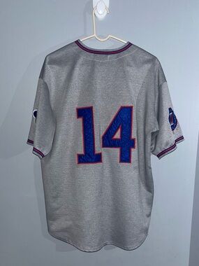 Ernie Banks 1968 Chicago Cubs Mitchell & Ness Authentic Throwback MLB Jersey LRG